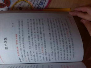 寫景,作文,初中,校園