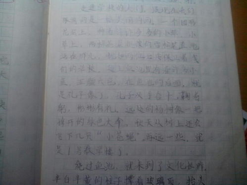 移步,作文,校園,換景法