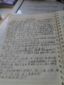 校園風(fēng)景作文一重二小
