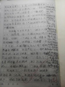 體罰,作文,男孩,校園