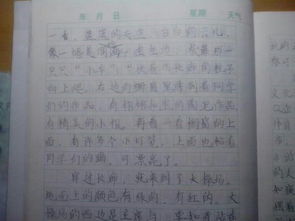 我們的校園作文四百字移步景的手法