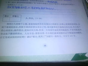 作文,校園