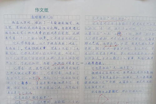 作文,校園,活動(dòng)