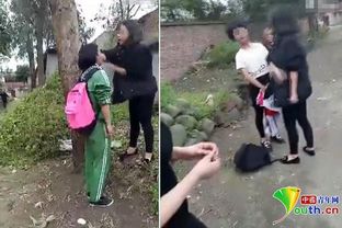 校園暴力的作文,反對(duì)校園暴力作文,校園暴力作文300字