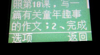 我們的校園總分總結構作文400字