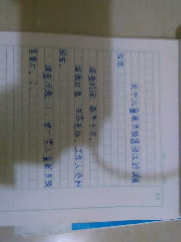 校園調查報告作文350