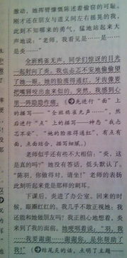 校園歌手大賽作文400字,校園歌手大賽作文500字,校園歌手大賽作文800字