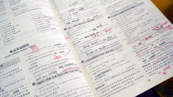 校園生活作文三年級(jí),校園生活作文300字,校園生活600字作文