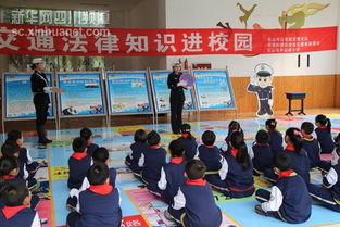 小學(xué)法律知識進(jìn)校園作文