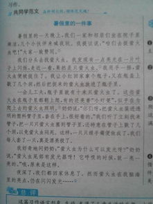 校園里的石榴樹(shù)200字作文