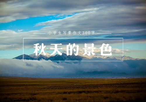 校園的夜晚300字作文三級
