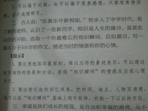 作文,丁香,校園,小說