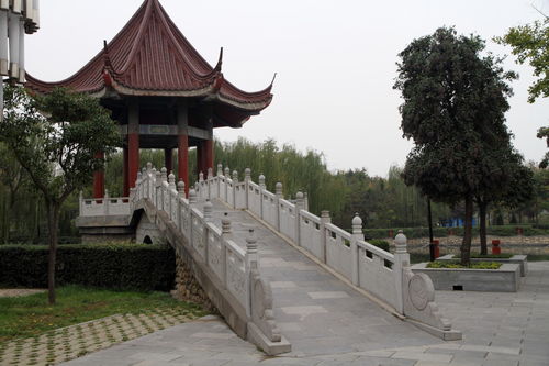 描寫校園后花園的作文,校園后花園的作文200字,校園的后花園作文結尾