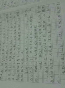 xx校園作文150字左右