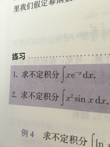 作文,校園生活,快樂(lè),范文