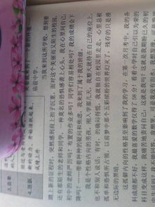 喜愛校園生活作文開頭