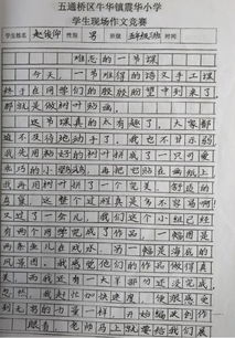 校園活動(dòng)精彩作文