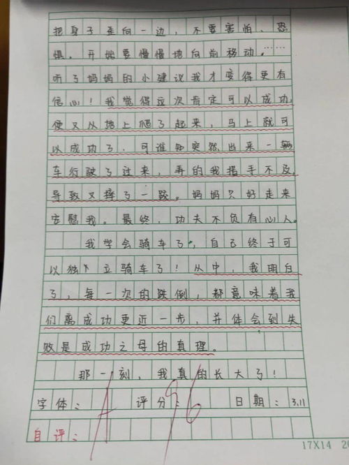 美麗的實(shí)驗(yàn)小學(xué)作文,美麗的實(shí)驗(yàn)小學(xué)作文怎么寫(xiě),我美麗的實(shí)驗(yàn)小學(xué)作文