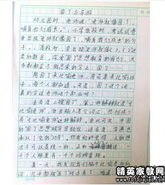 初中夏日校園作文700字