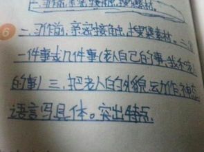 校園的老人作文600字