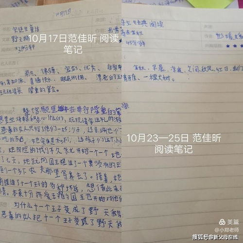 作文,在校,園里,勞動(dòng)