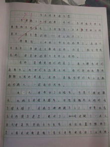 景點(diǎn),作文,校園