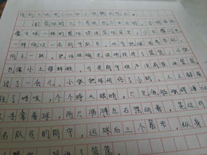 平安,作文,這就是我,想要
