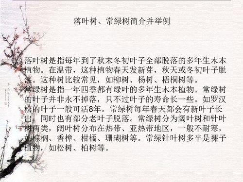 建文明校園樹文明校風(fēng)作文議論文