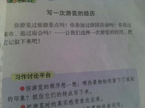 我們的校園作文500字游覽