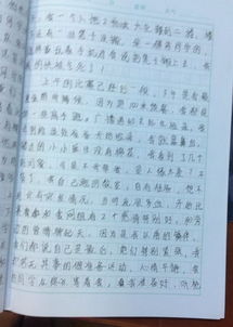 感覺(jué)校園的美好作文1000字