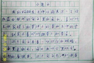 作文,設(shè)施,校園