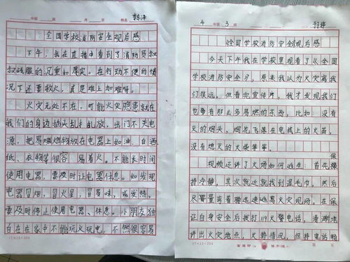 消防安全知識(shí)進(jìn)校園作文