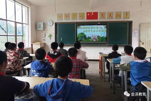 讓創(chuàng  )森知識走進(jìn)校園的作文