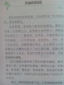 作文,校園里,快樂(lè )
