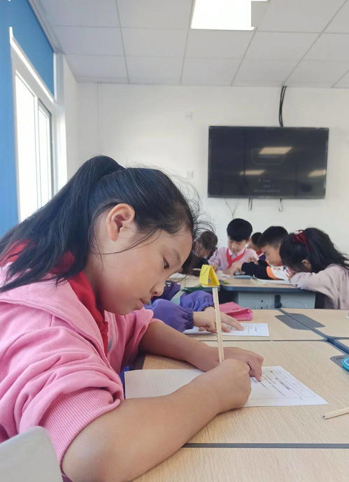 家庭校園社會(huì )系列作文