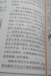 我們校園的植物作文三百字