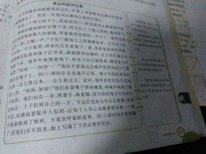 八級上冊校園作文