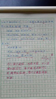 關(guān)于校園老師真情的作文