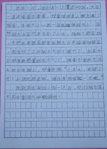 書(shū)香校園作文中學(xué)