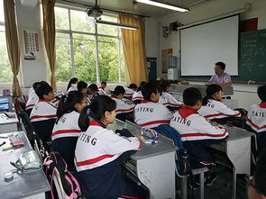 欺凌,作文,心得體會(huì),校園