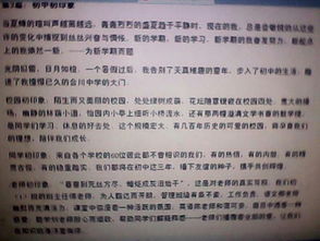 12對于校園印象的作文