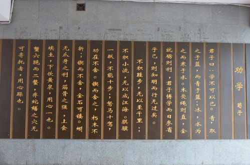 美麗校園移步換景作文300字