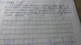 四級上語(yǔ)文作文校園