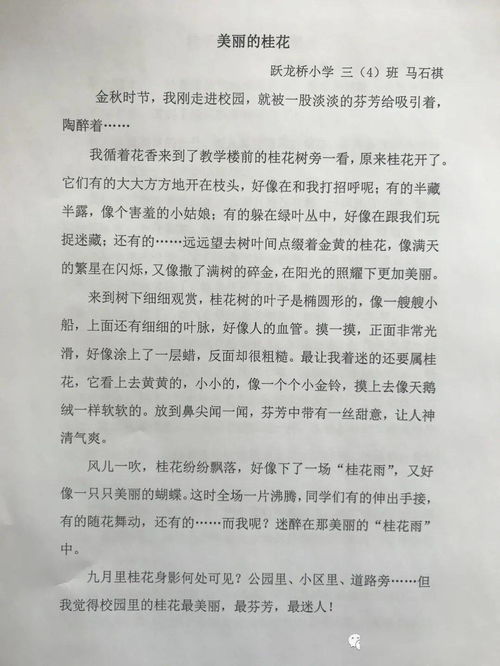 關(guān)于校園青春成長(cháng)的作文