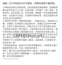小學作文校園一角450字