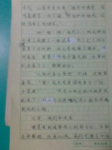 作文,校園生活,傷心,回顧