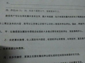 校園里的陽(yáng)光高中800字作文議論文