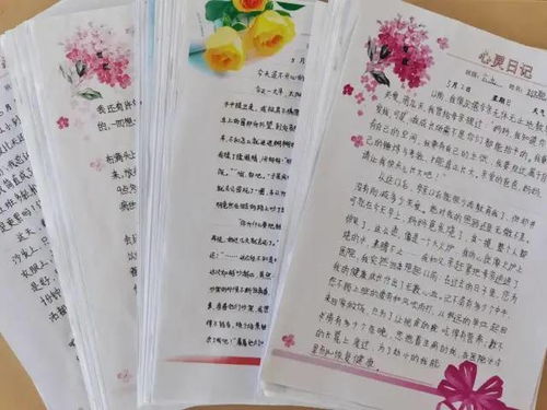 安心校園心靈感悟作文