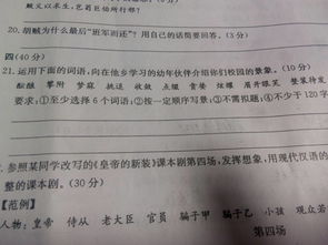 作文,校園