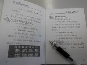 作文,心得體會(huì),安全教育,校園